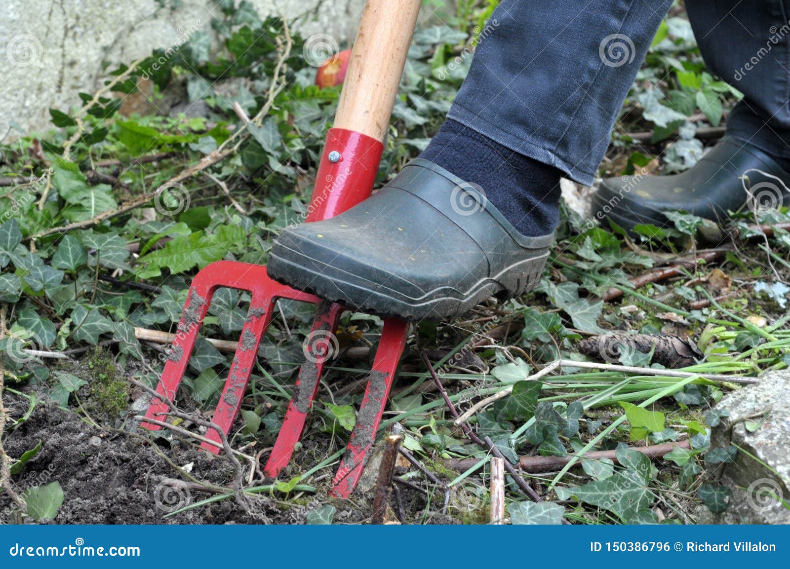 Gardening with a Fork in Closeup Stock Photo Image of fork, plastic