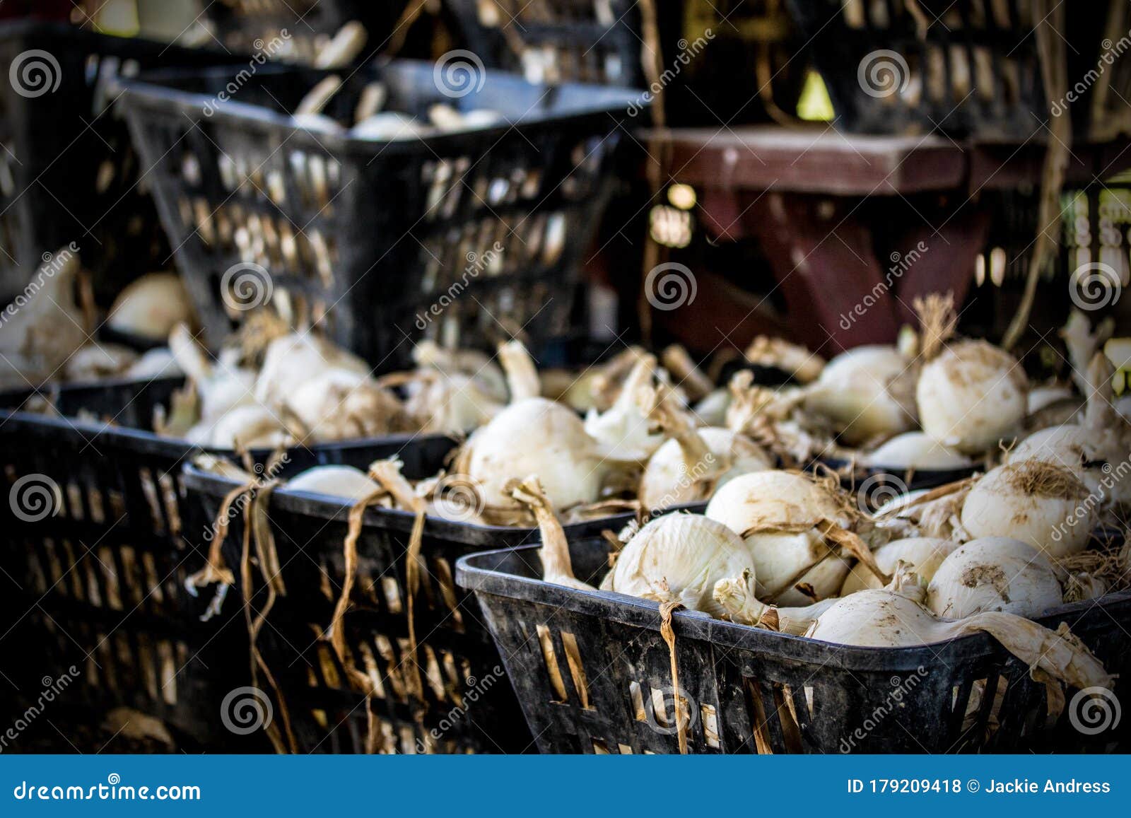 close up of garlic in baskets