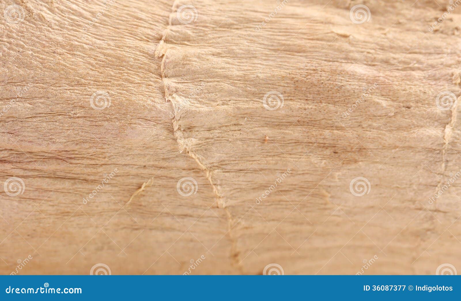 Ginger Cat Fur Texture Background. Pet Hair Texture Background. Royalty