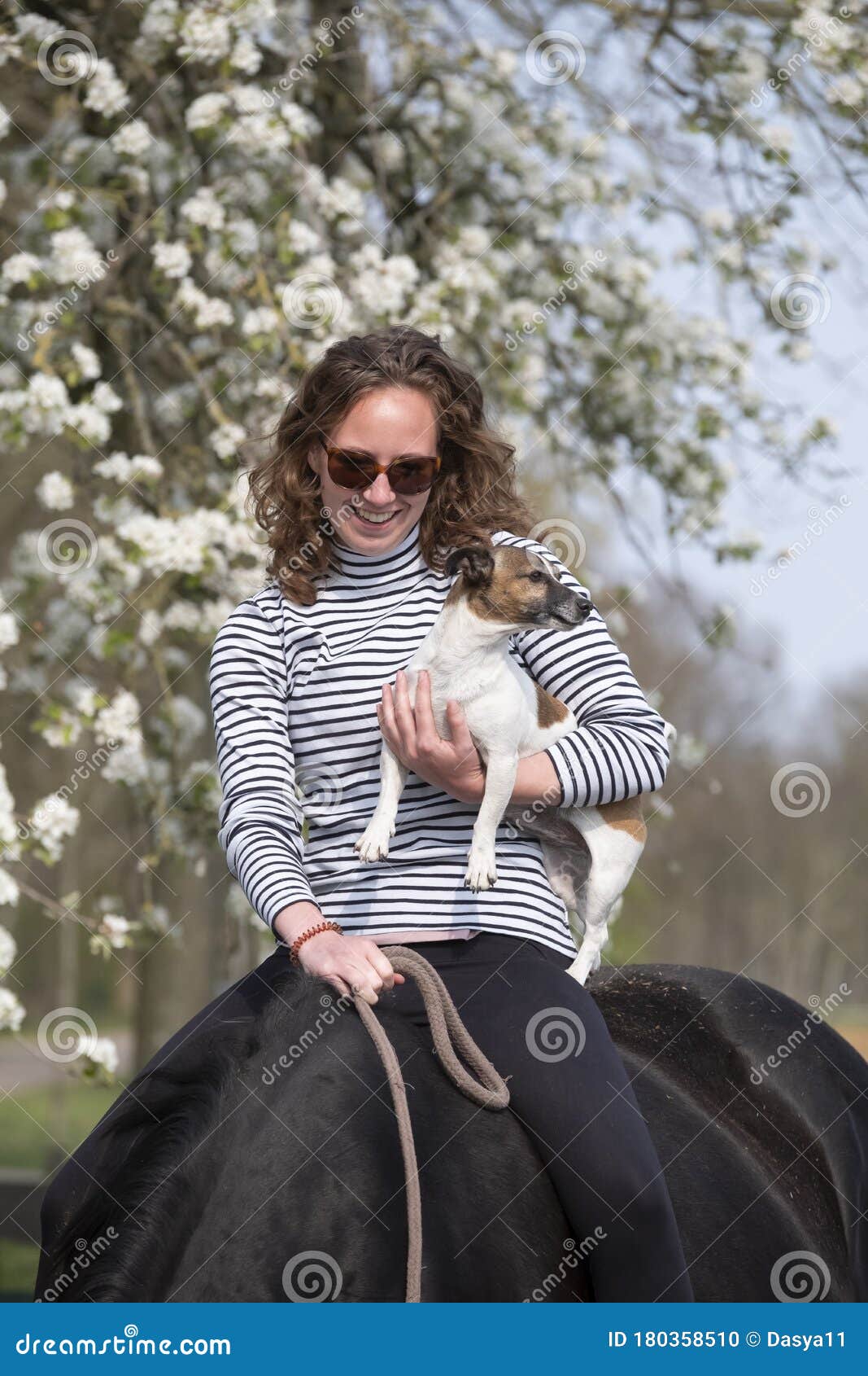 Close Up Of A Girl On A Pregnant Brown Horse Without A Saddle She Has A Little Dog In Her Arm White Blossom Stock Photo Image Of Mane Affection 180358510,Perennial Flowers Texas