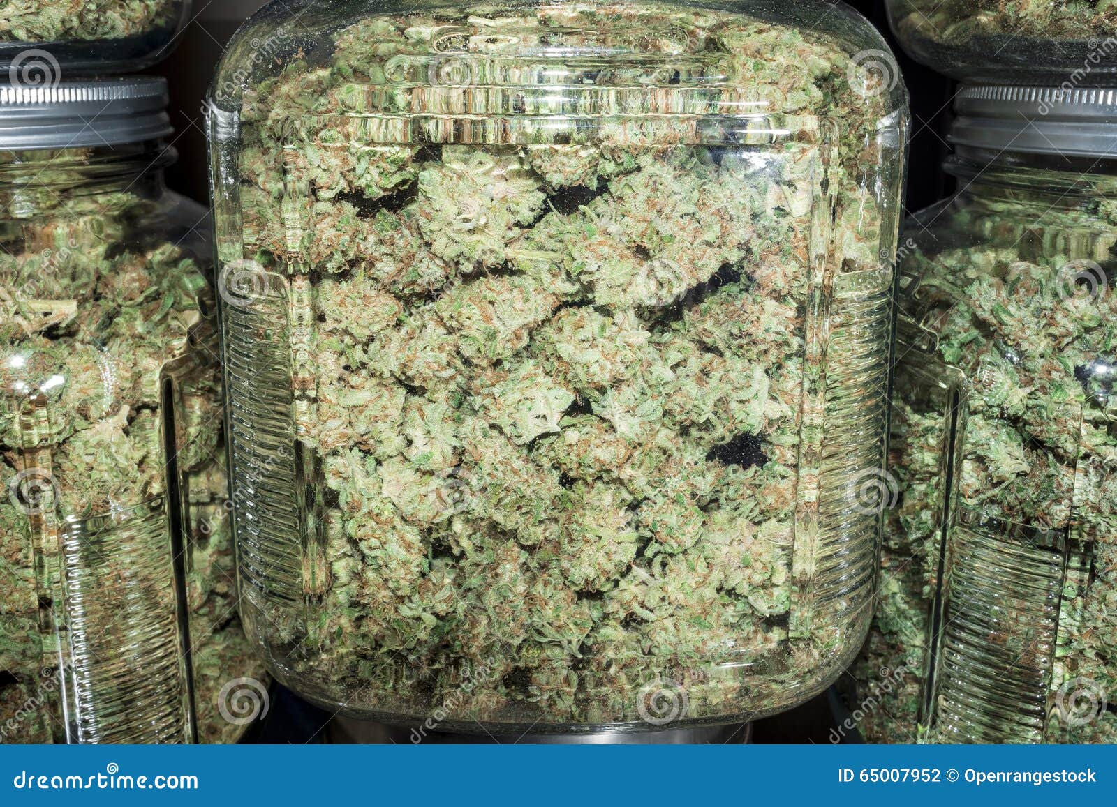 Download Close Up Glass Jars Filled With Green Marijuana Buds Stock Photo Image Of Medicinal Medical 65007952 Yellowimages Mockups