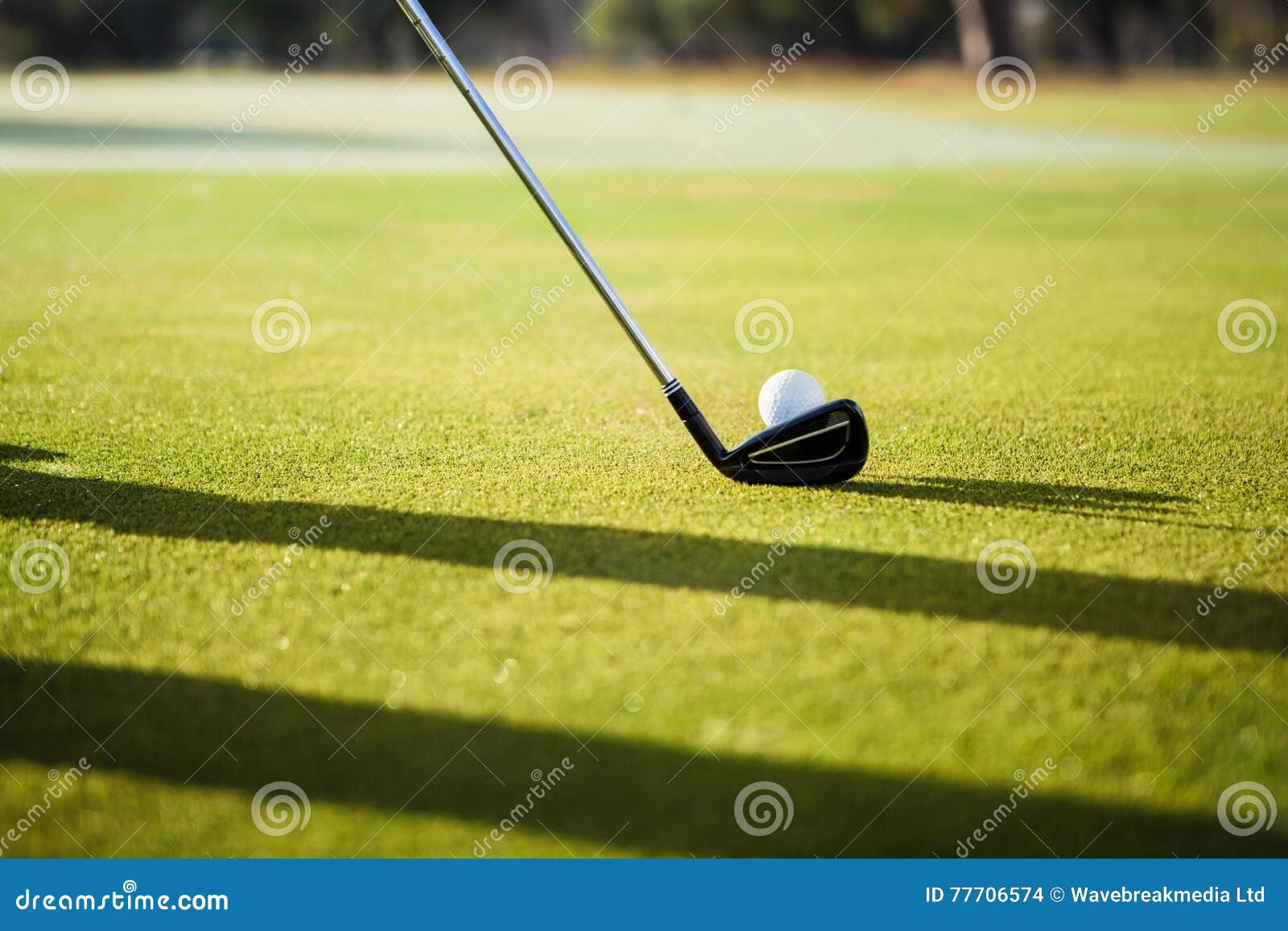 Close Up of a Golf Ball and Club Stock Photo Image of close, leisure