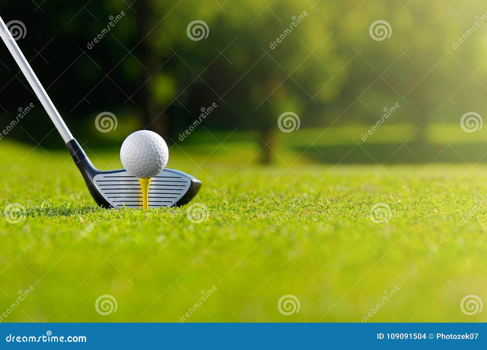 let`s golf today