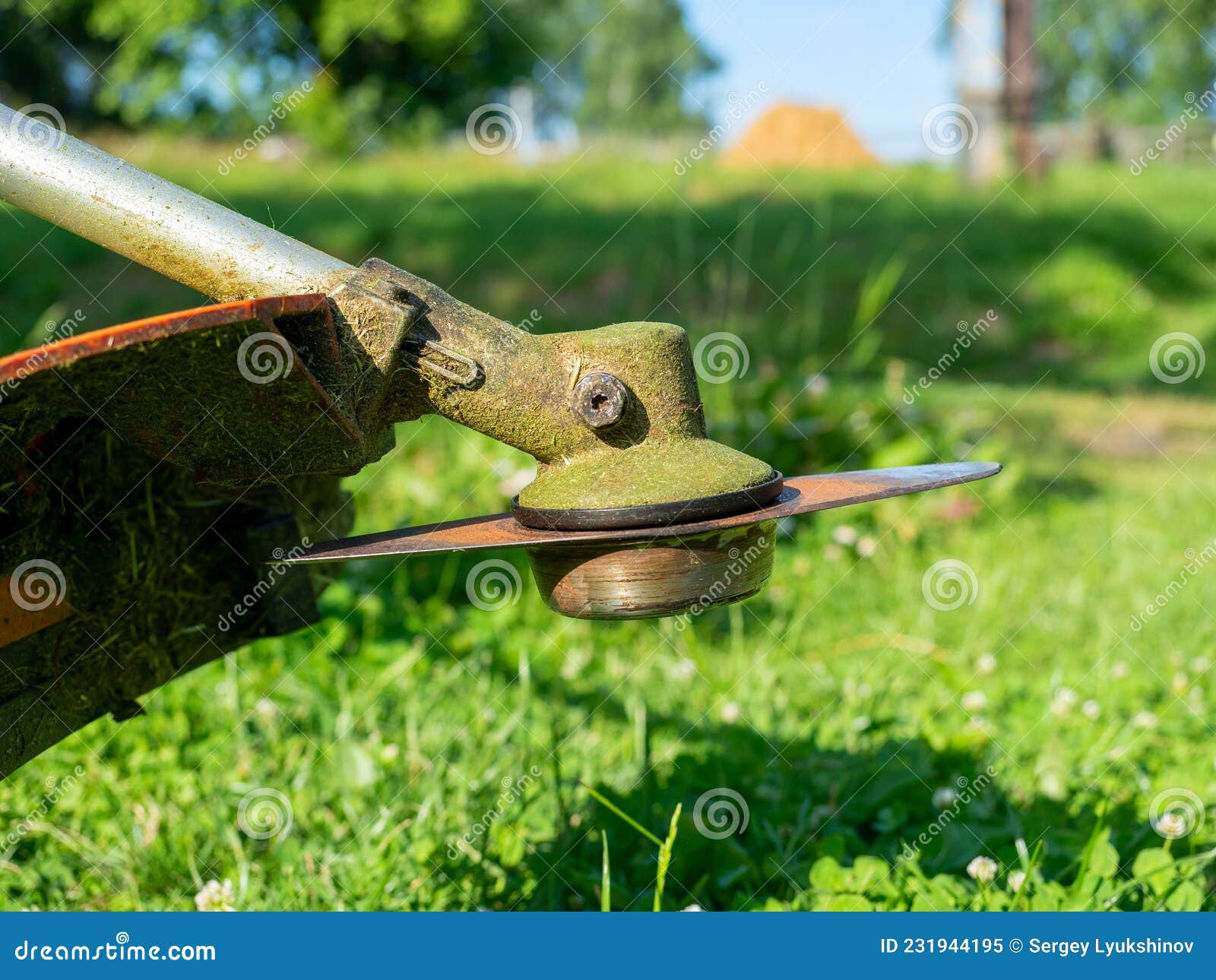 125 Hair Clipper Maintenance Stock Photos - Free & Royalty-Free Stock  Photos from Dreamstime