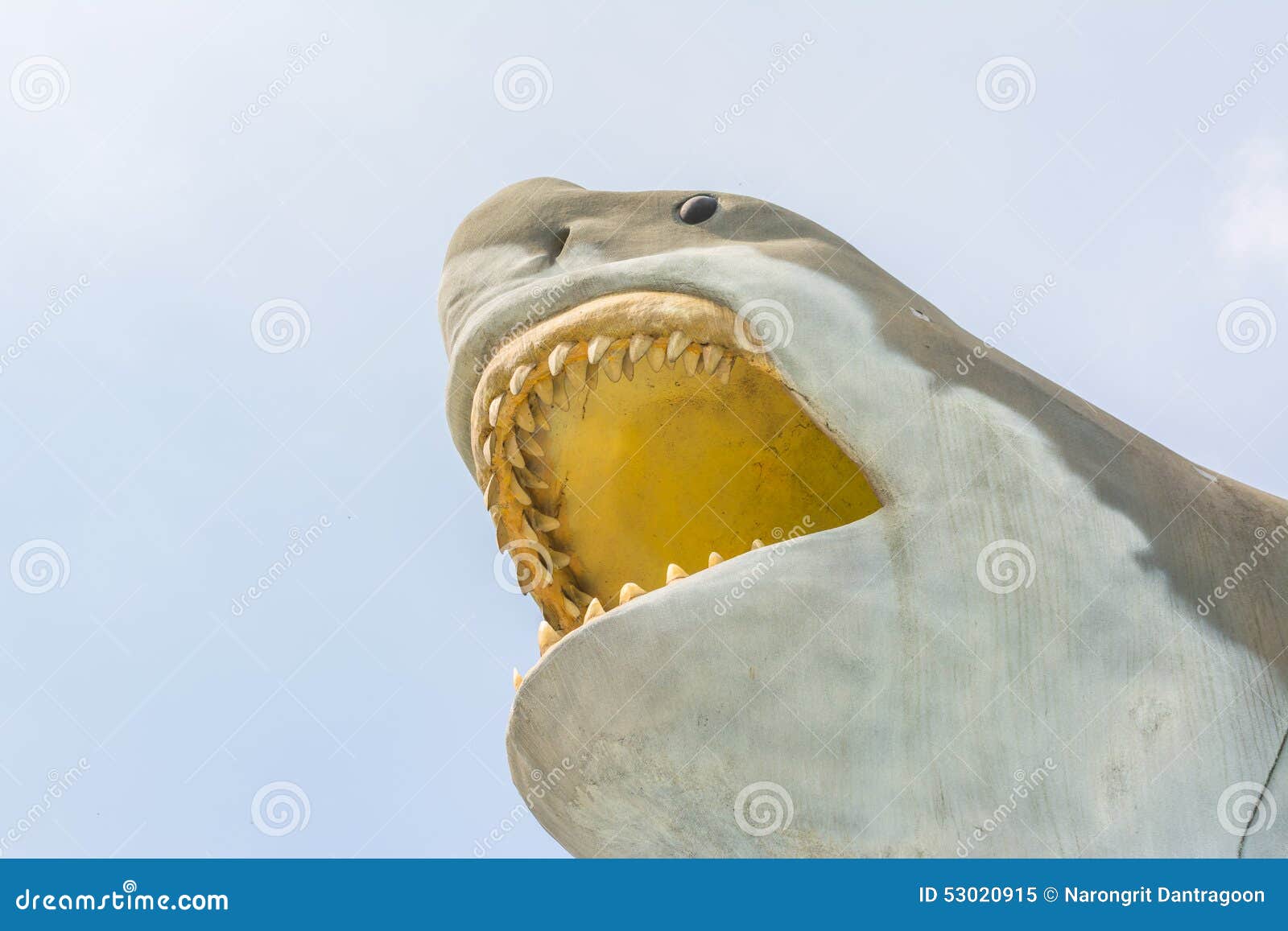 Close Up of Great White Shark in the Sky Stock Image - Image of ancient