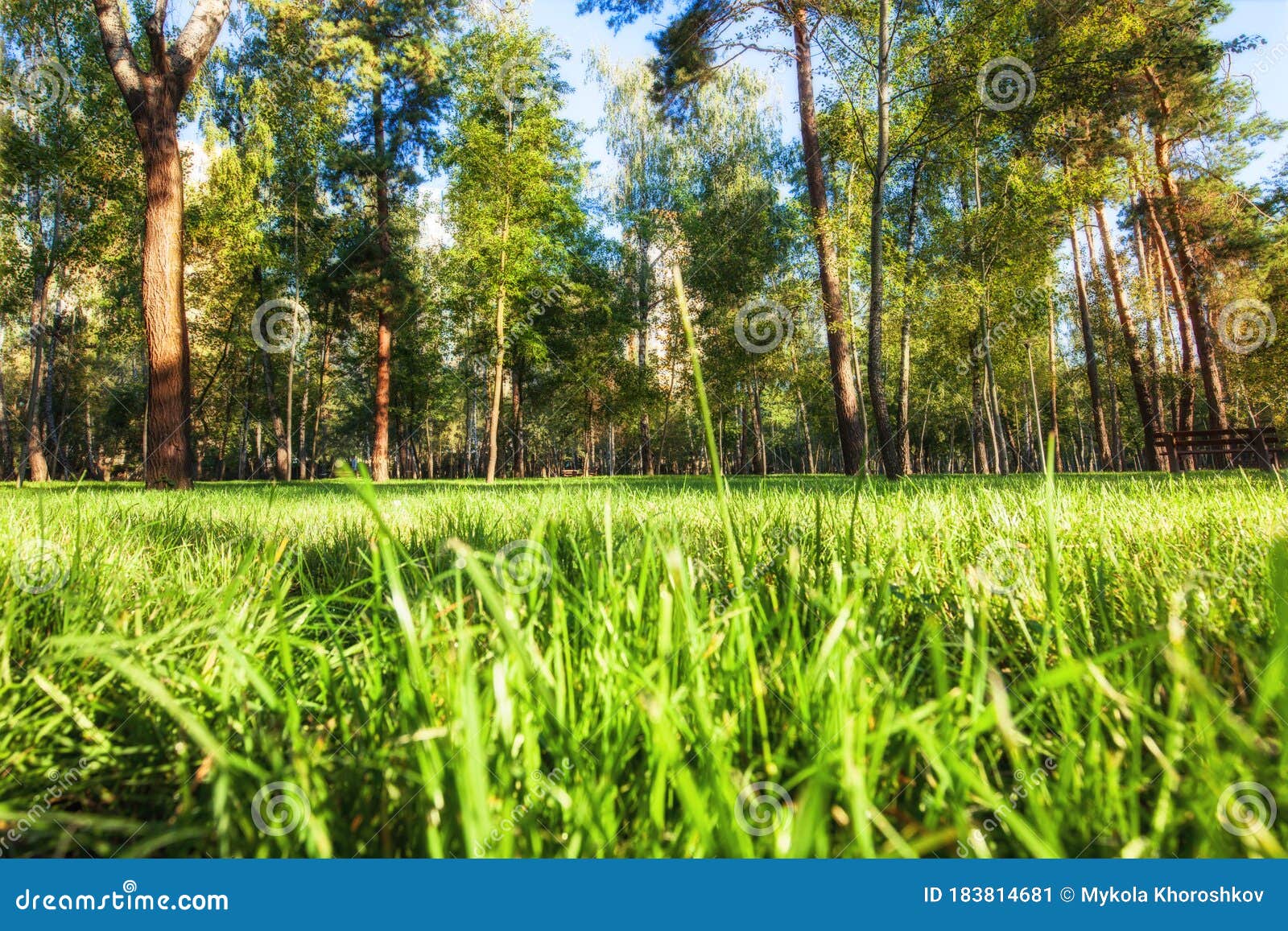 Hãy cùng tận hưỡng cảm giác thư giãn với bức ảnh Cận cảnh Cánh đồng cỏ xanh với nền công viên mờ Stock Image. Với sắc xanh tươi sáng và đầy sức sống của cỏ, bức ảnh này sẽ khiến bạn cảm thấy như đang sống giữa không gian thiên nhiên trong lành.