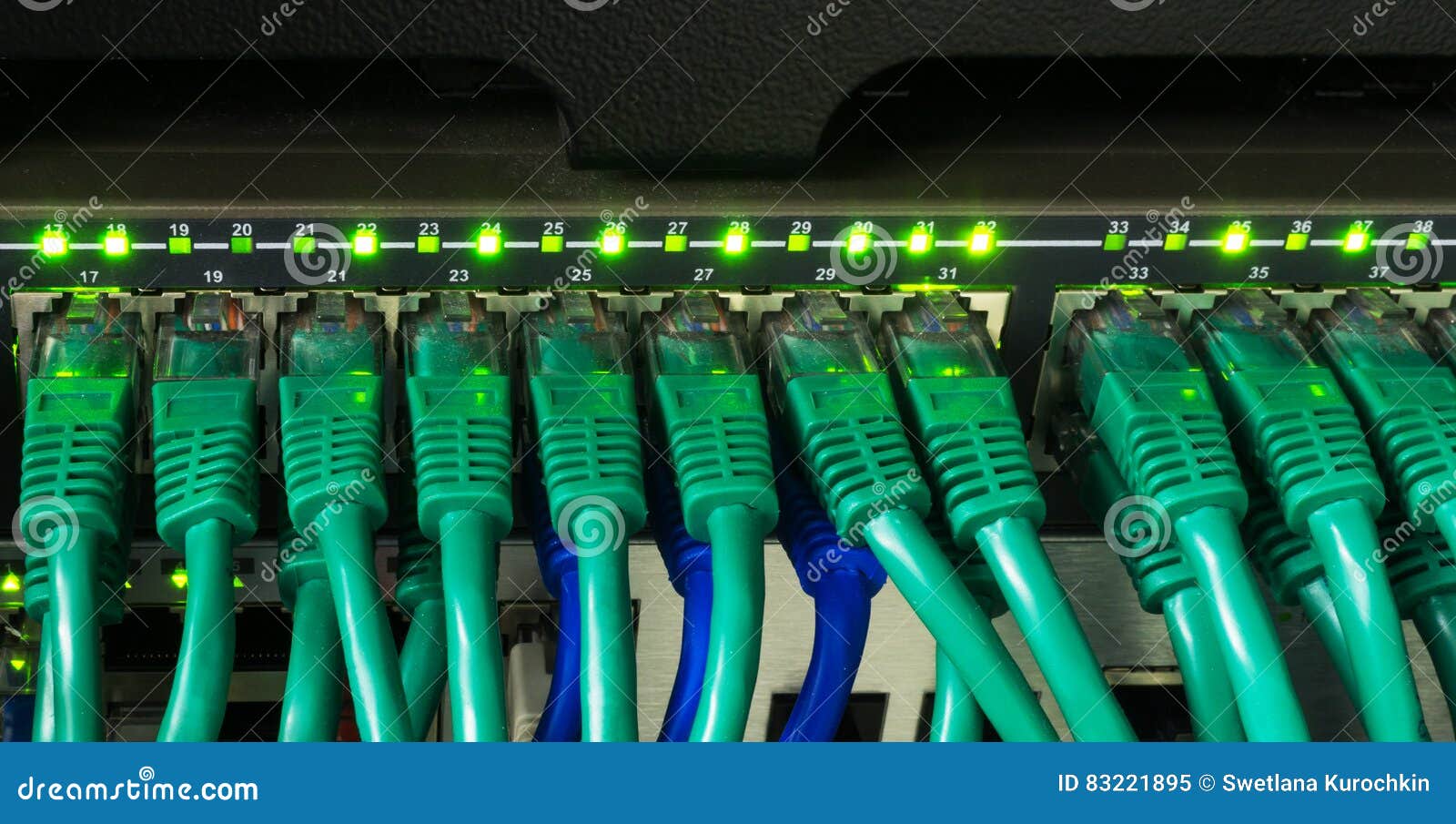 Close Up of Green Network Cables Connected To Switch Glowing Stock