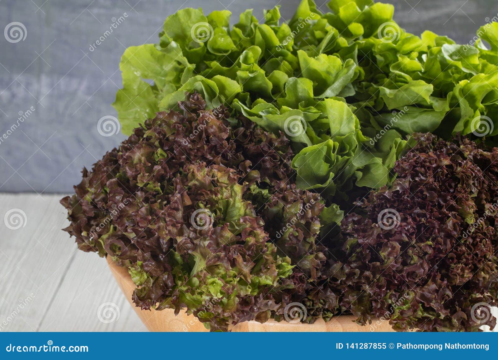 Green Oak Lettuce and Red Oak Lettuce on Wooden Bowl Stock Image ...