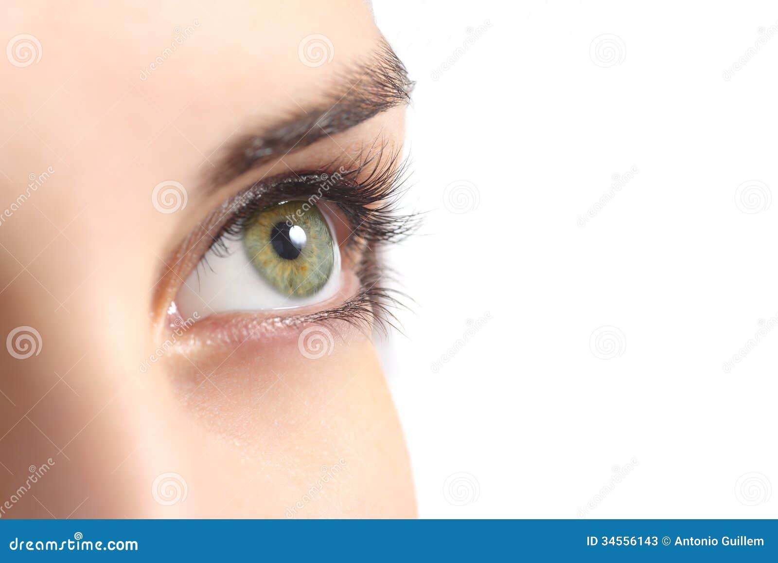 close up of a green woman eye