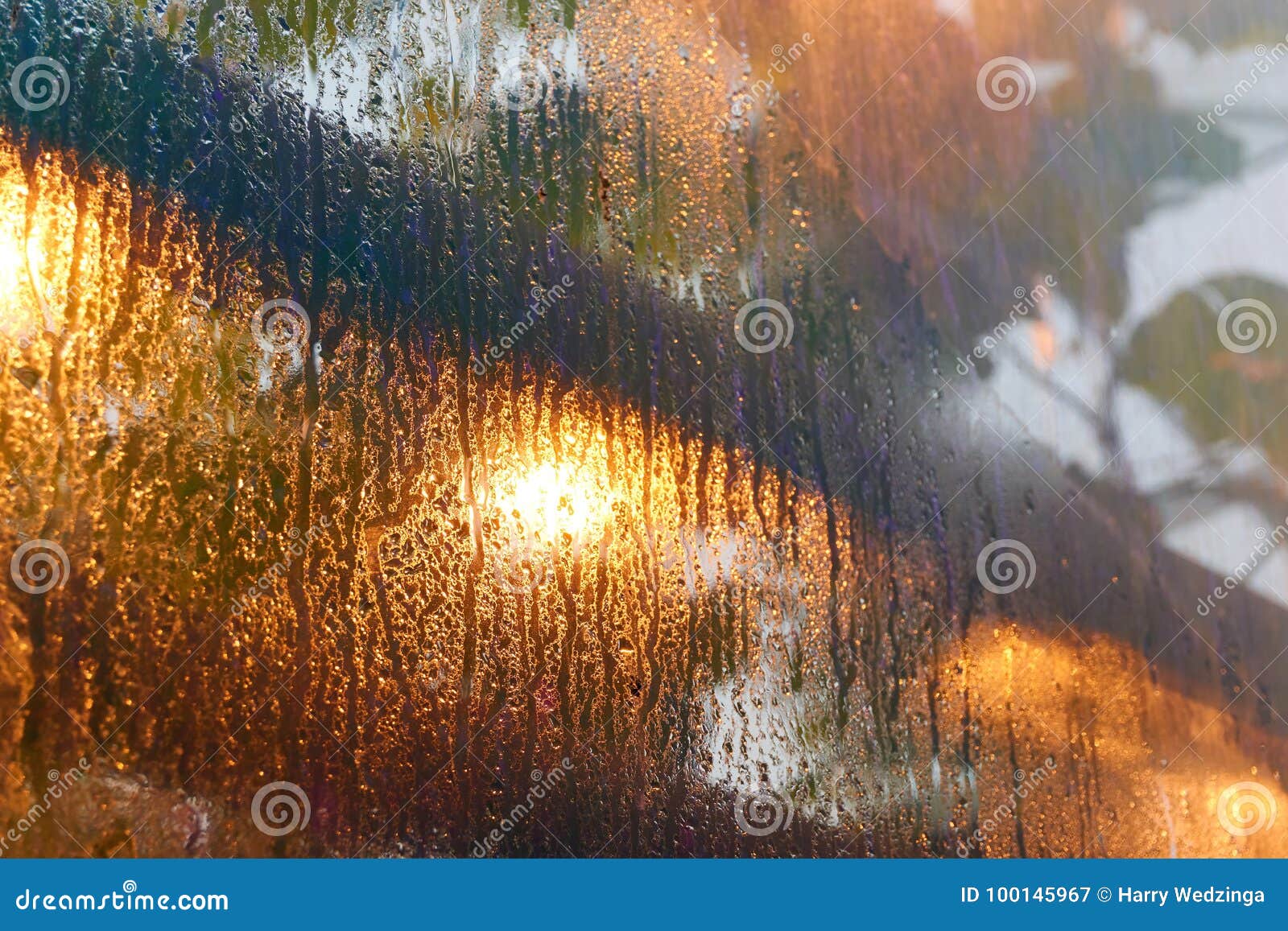 Closeup of a Greenhouse with Condensation Stock Image Image of