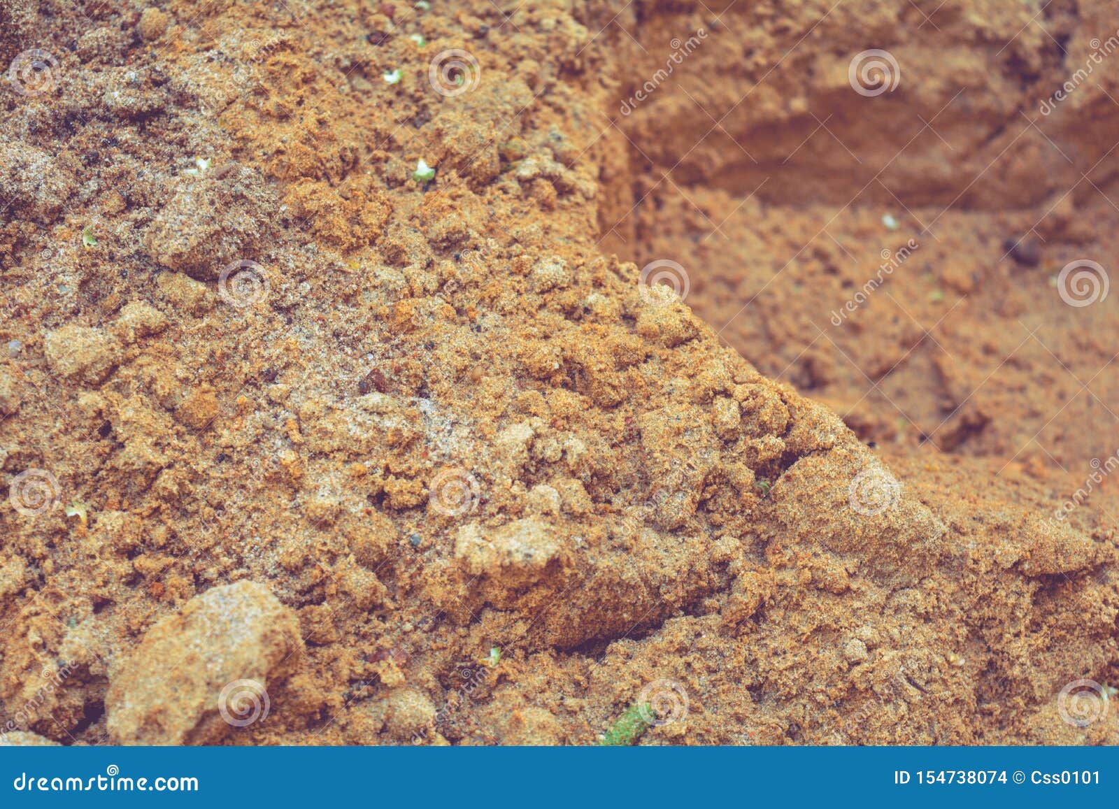 Sandy Soil - The Dirt on Dirt