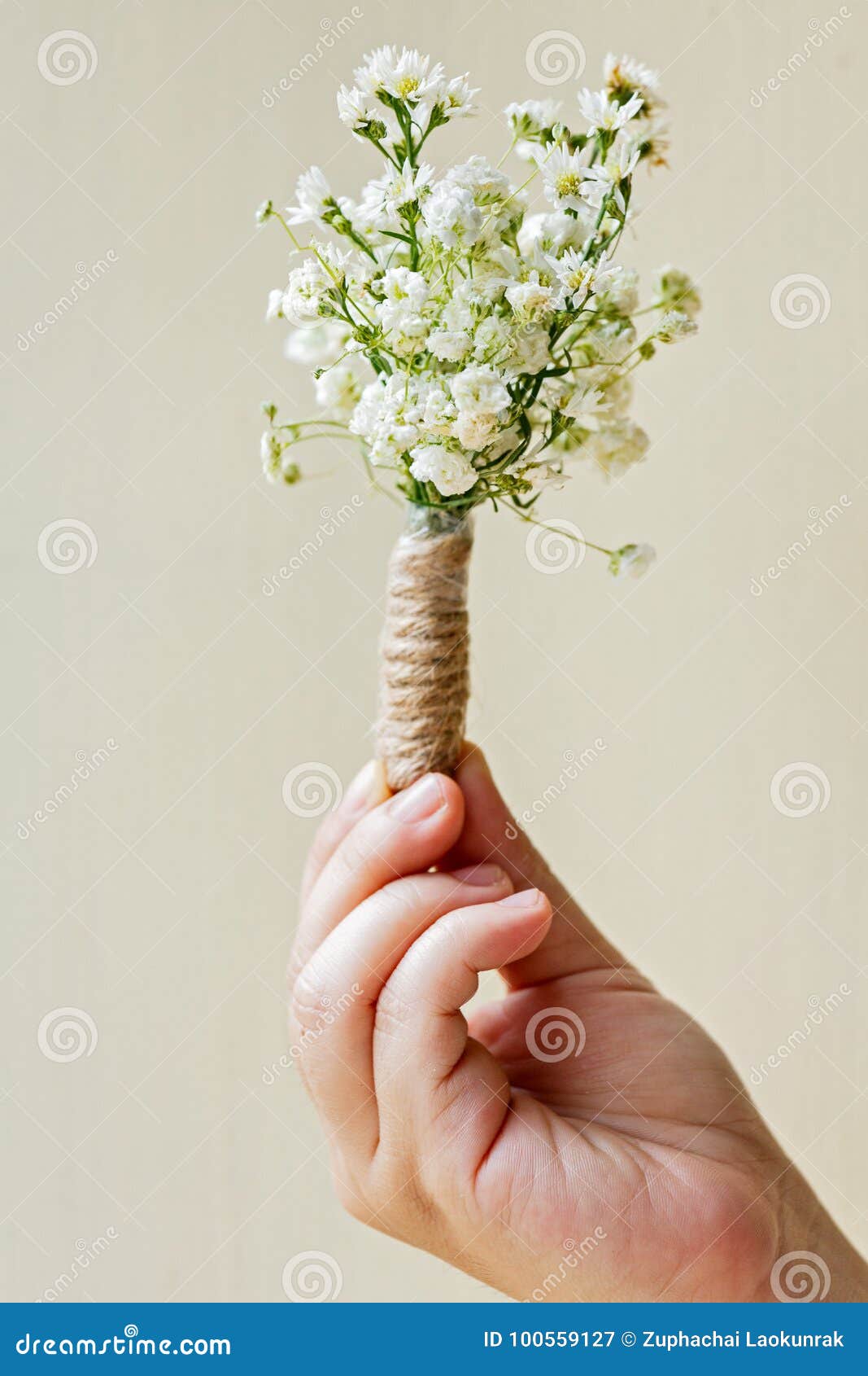 Gypsophila Corsage in Hand with Natural Light Stock Image - Image of  background, white: 100559127