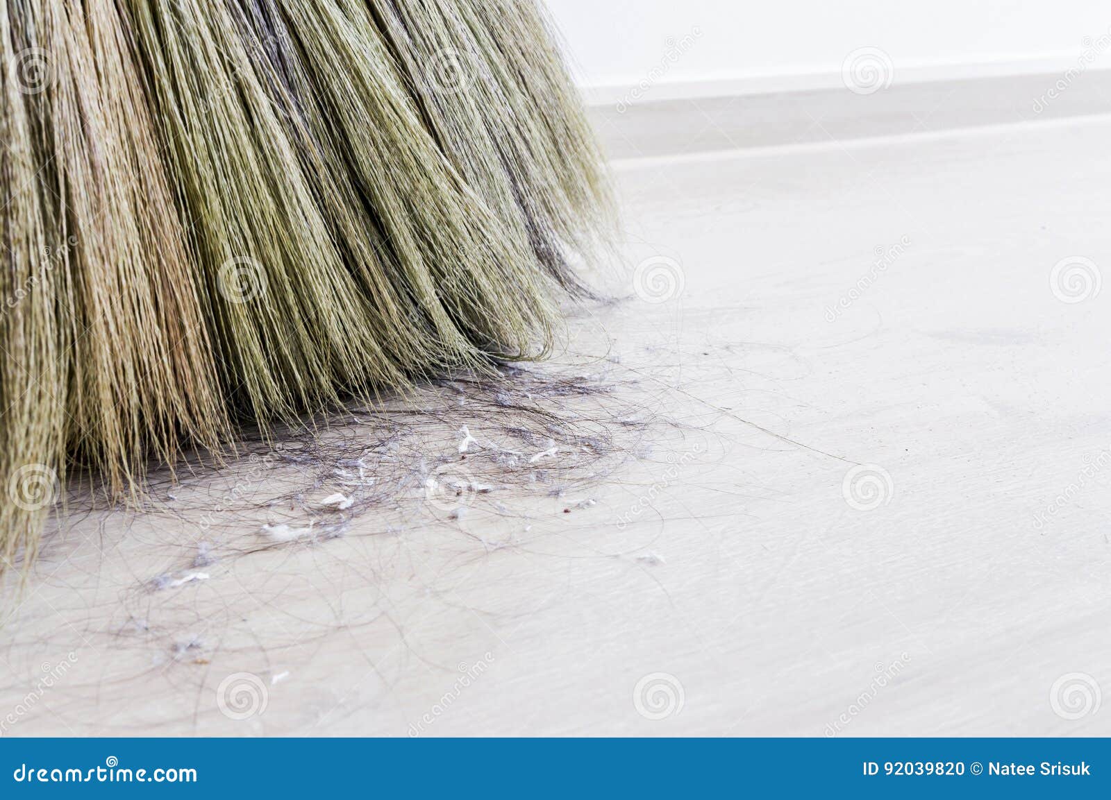 Close up hair and dust stock photo. Image of dirt, grass 92039820