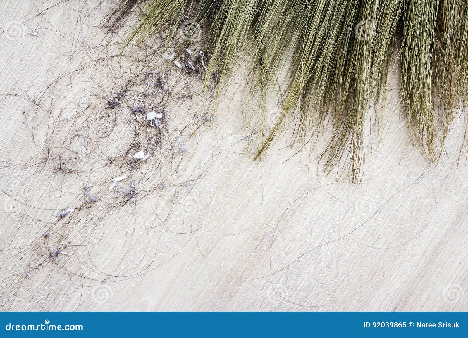 Close up hair and dust stock image. Image of dingy, filthy 92039865