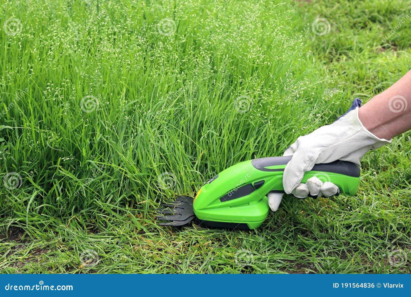 Close-up Hand Holds an Electric Manual Grass Trimmer Stock - Image of hedge, gardening: 191564836