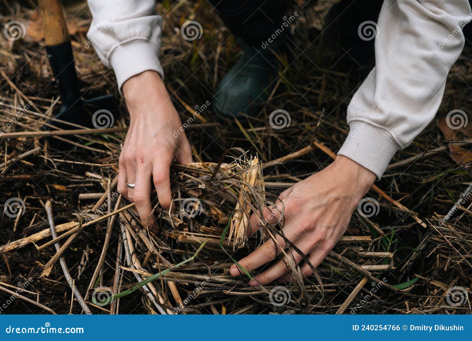close-up hands of unrecognizable survivalist male putting brushwood on campfire to making fire in forest.