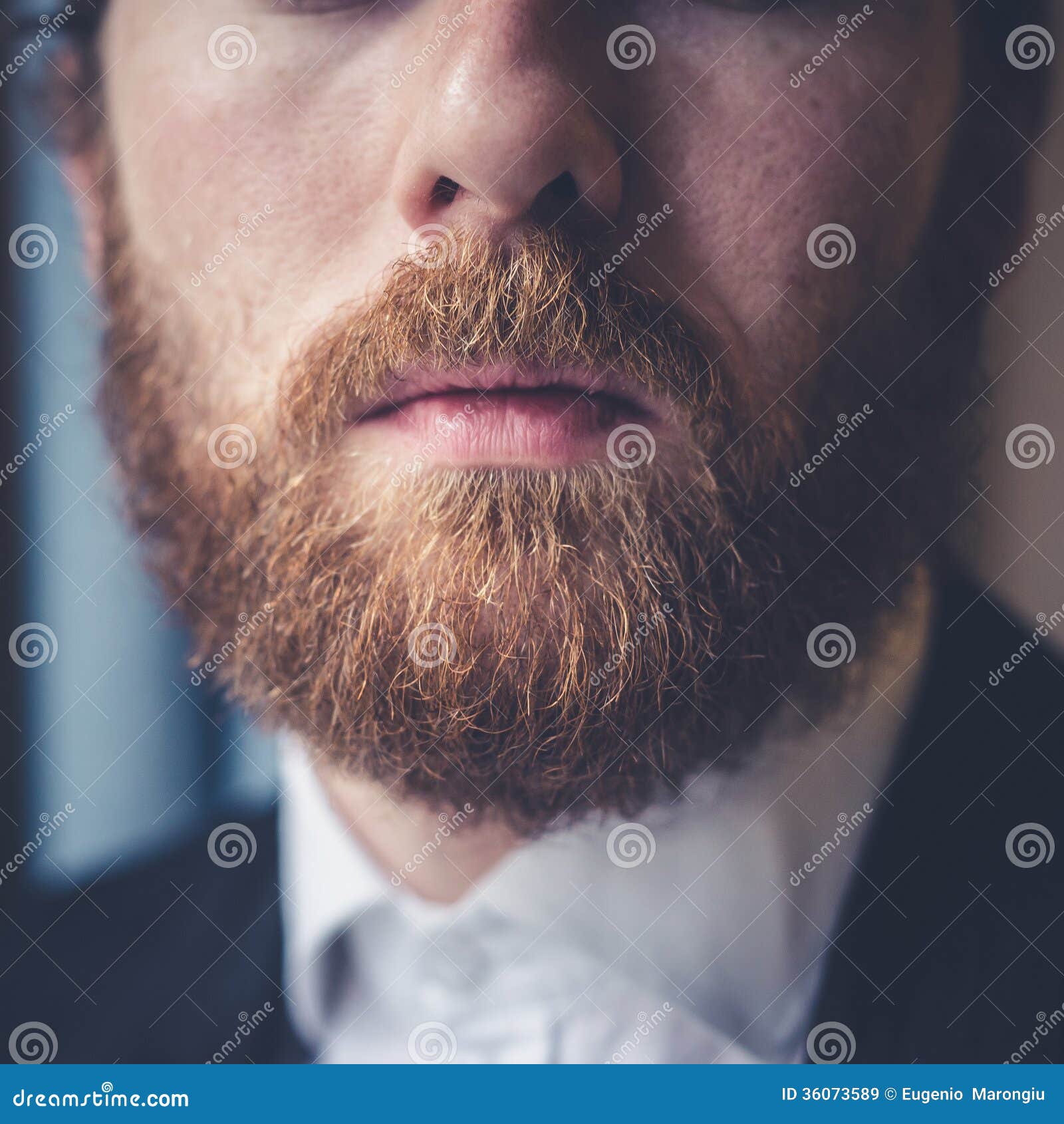 Close Up Handsome Beard Elegant Man Royalty Free Stock 