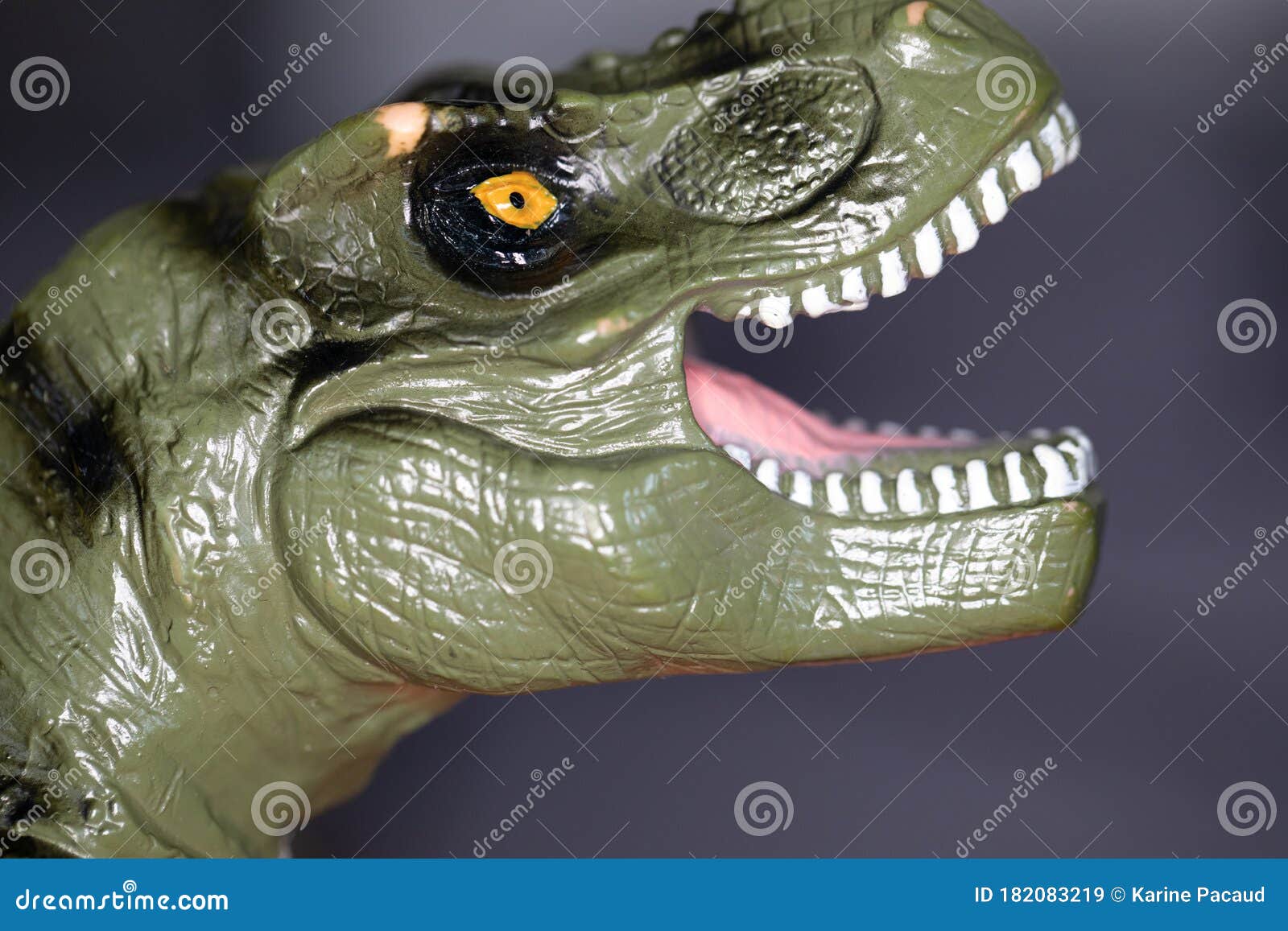Close Up of Head and Teeth of a T-rex, Soft Plastic Tyrannosaurus Rex  Dinosaur Toy Stock Image - Image of paleontology, dangerous: 182083219
