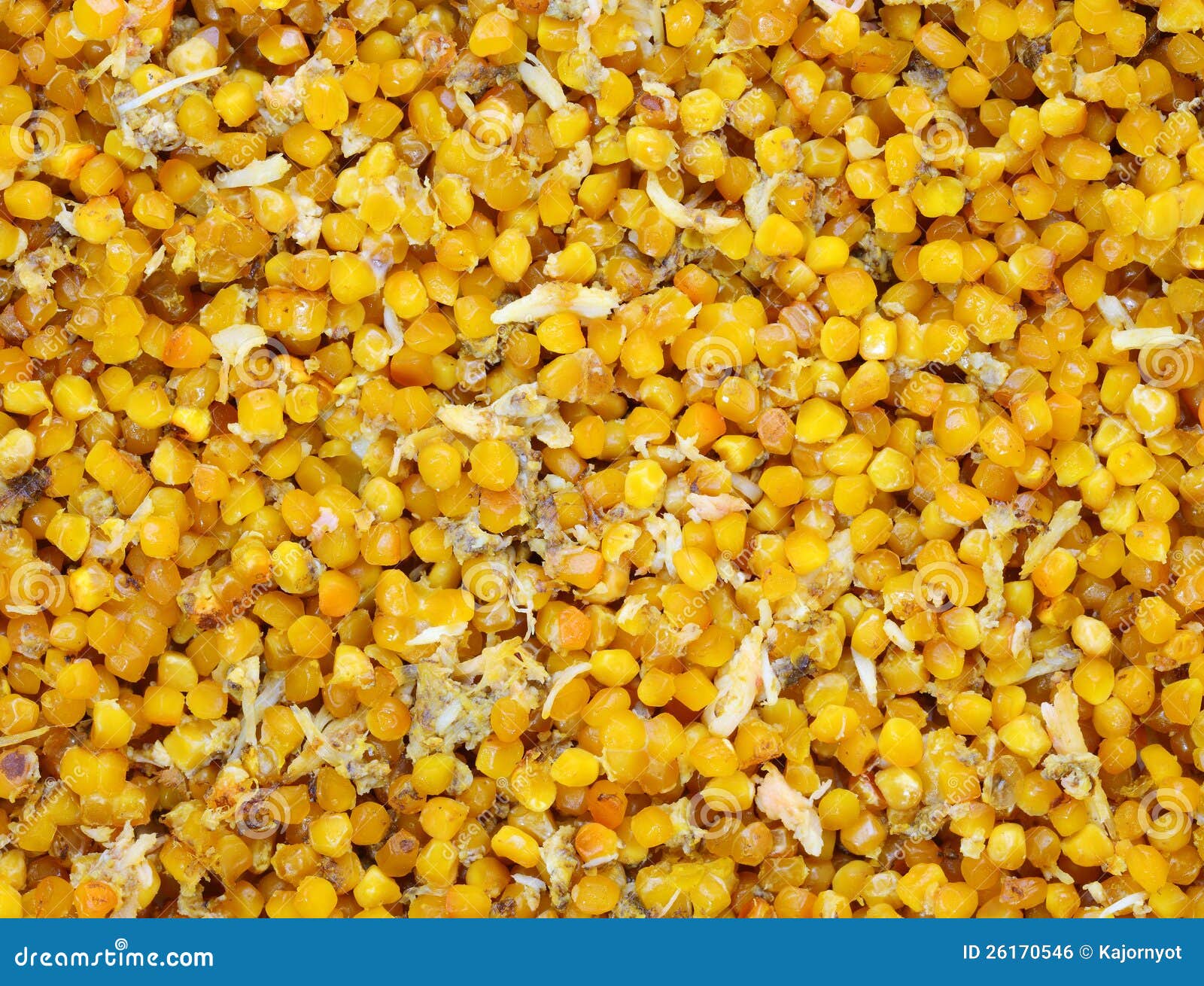 The Close Up of Horseshoe Crab Eggs Stock Photo Image of market, coal