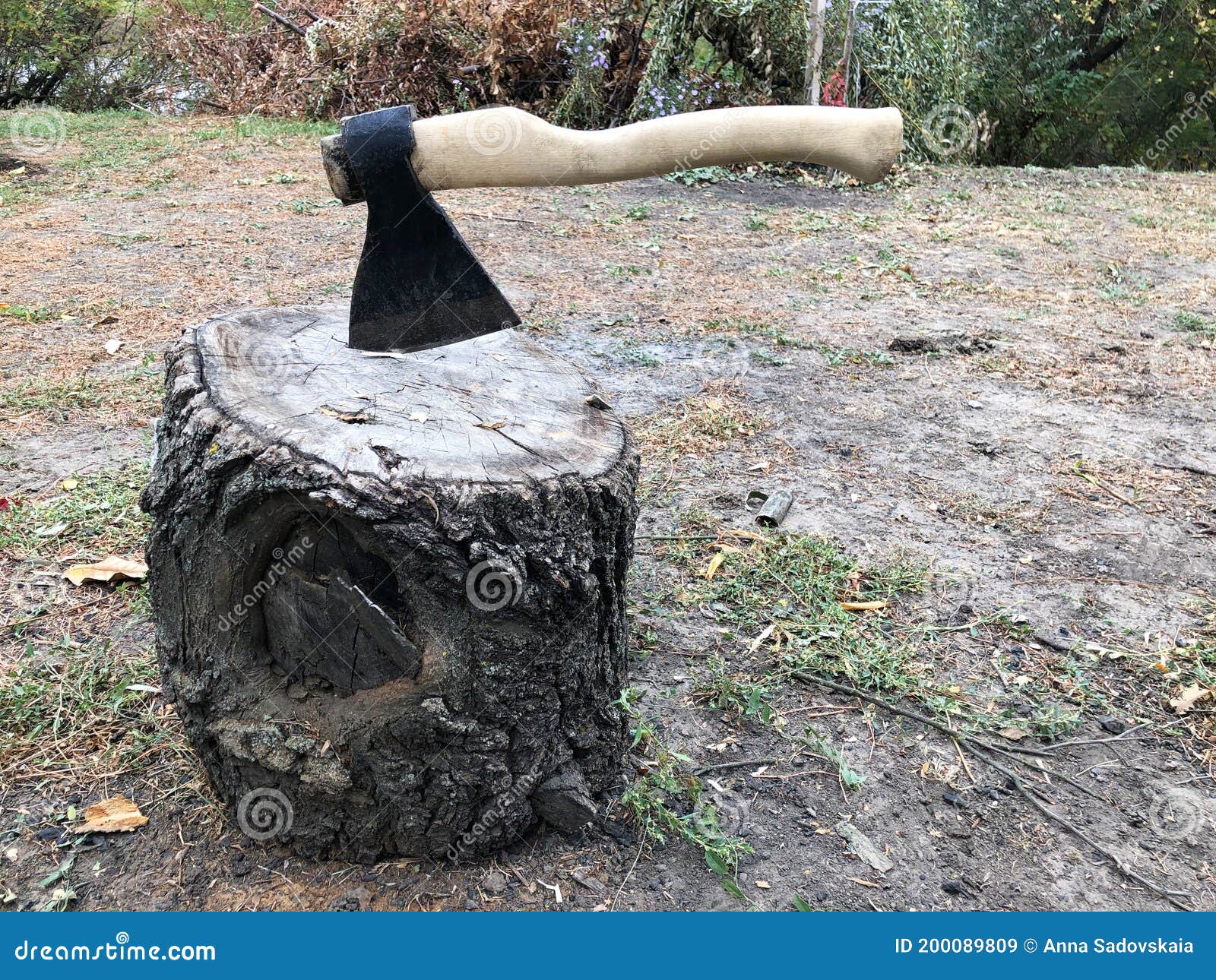 the black axe the black axe