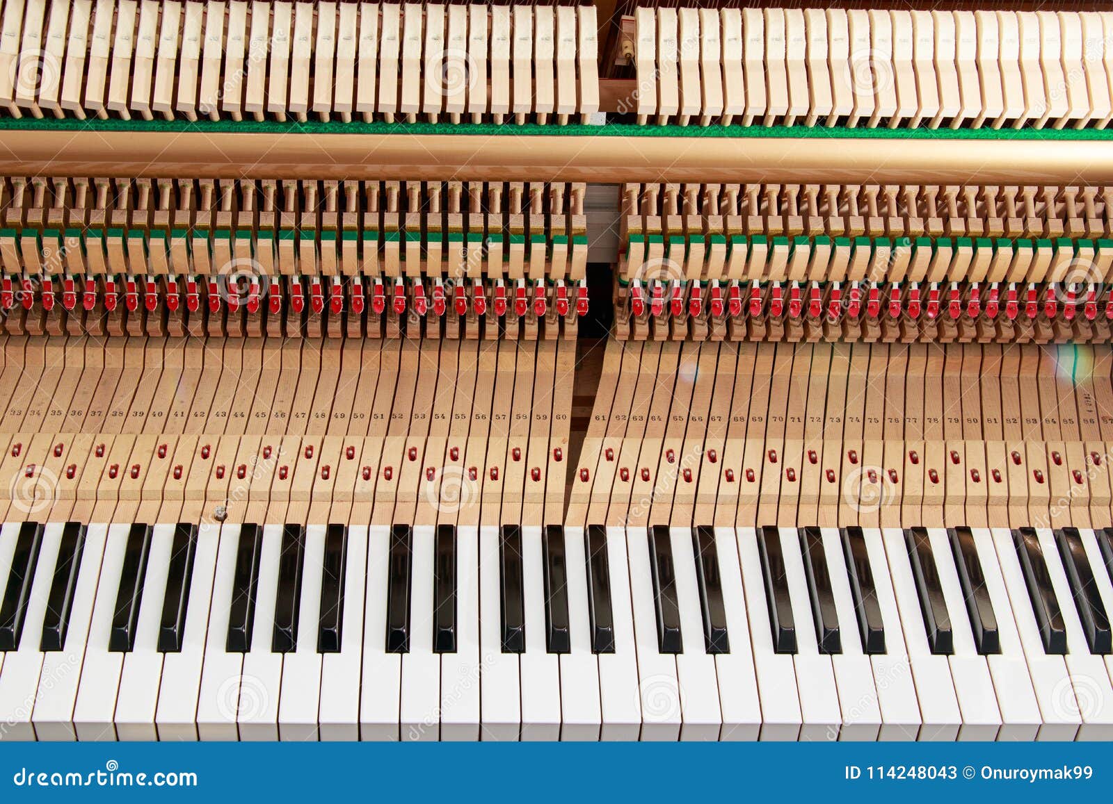 Close Up Image of Grand Piano Keys and Interior Showing Strings, Hammer
