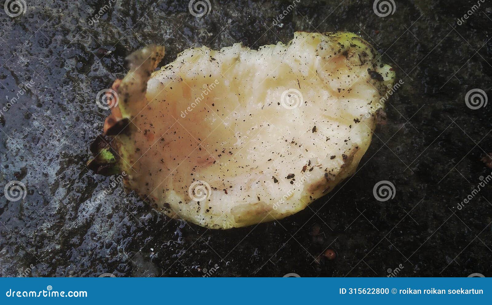 close up image of guava fruit or buah jambu