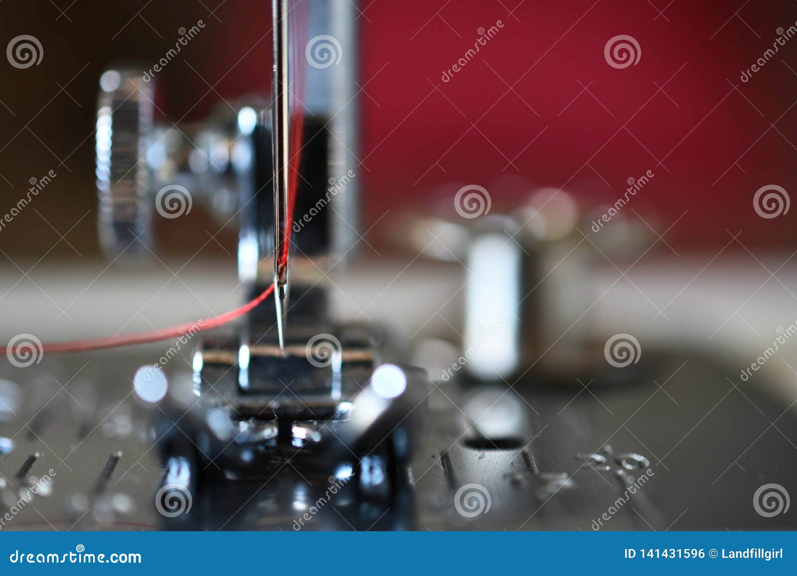 Sewing Machine Needle and Thread Stock Photo Image of sewing, foot