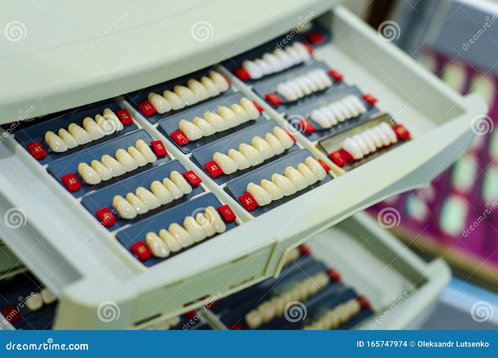 Closeup of Implanted Teeth. Denture Manufacturing Process Stock Photo Image of medical