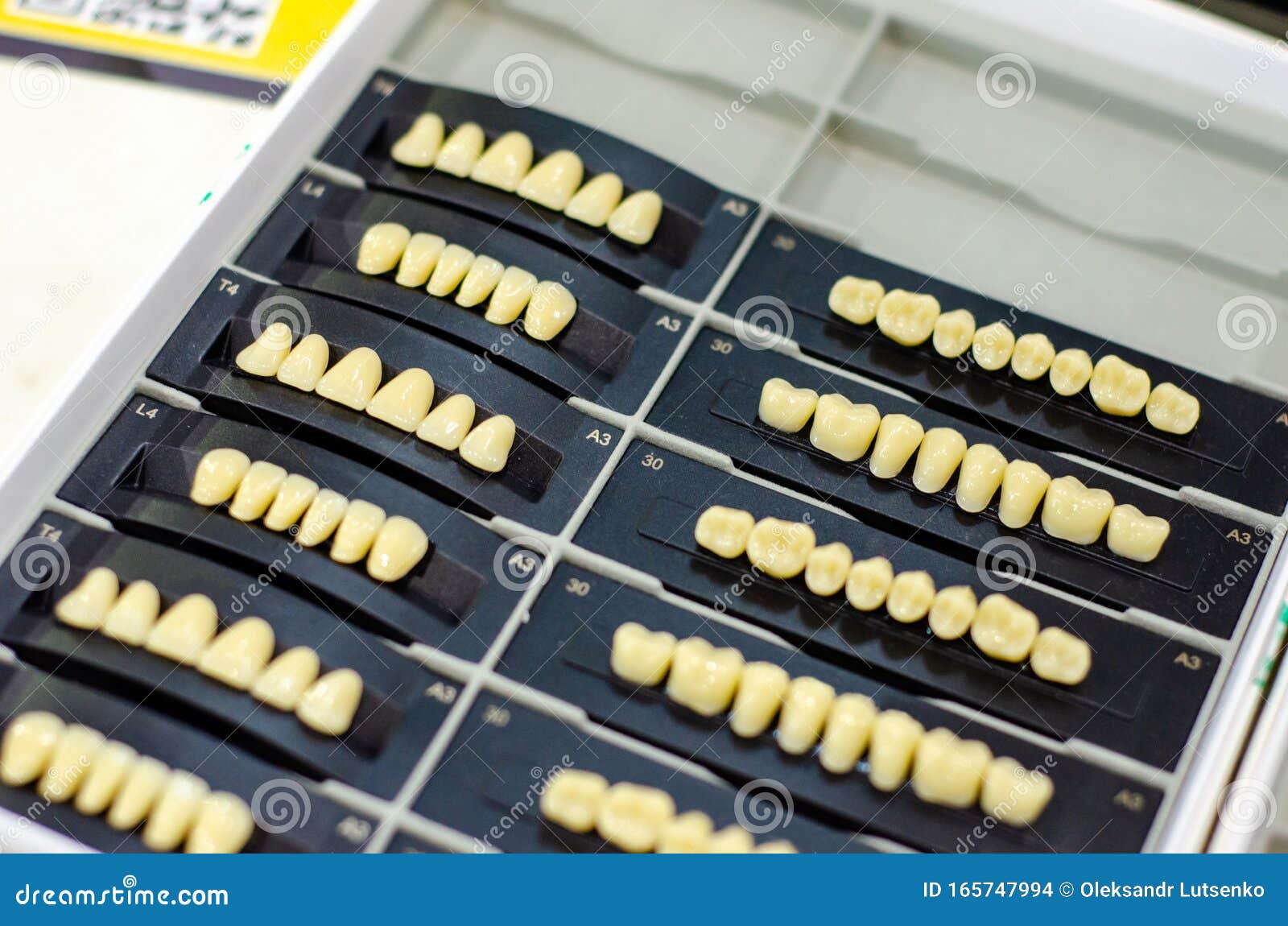 Closeup of Implanted Teeth. Denture Manufacturing Process Stock Photo Image of industry