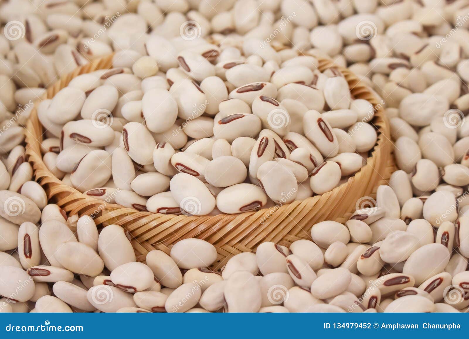 Close Up Jack Beans or Canavalia Ensiformis Seeds Nature Texture for