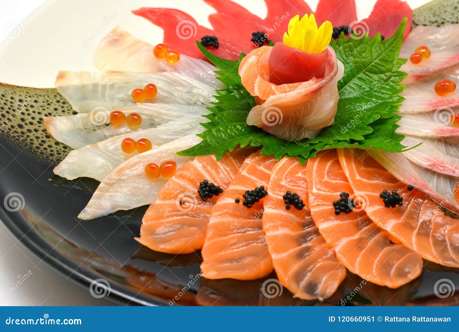 Close-up Japanese Food Raw Fish Mixed Sashimi in Plate Japanese Stock