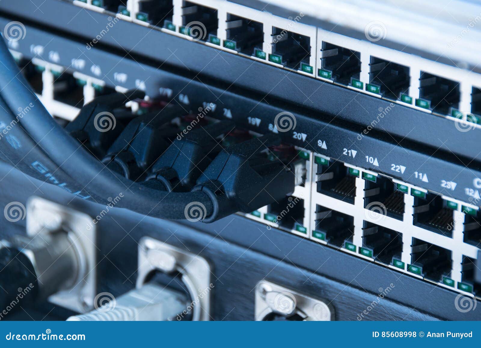 Close Up LAN Cable Plug in Port Stock Photo Image of multiple