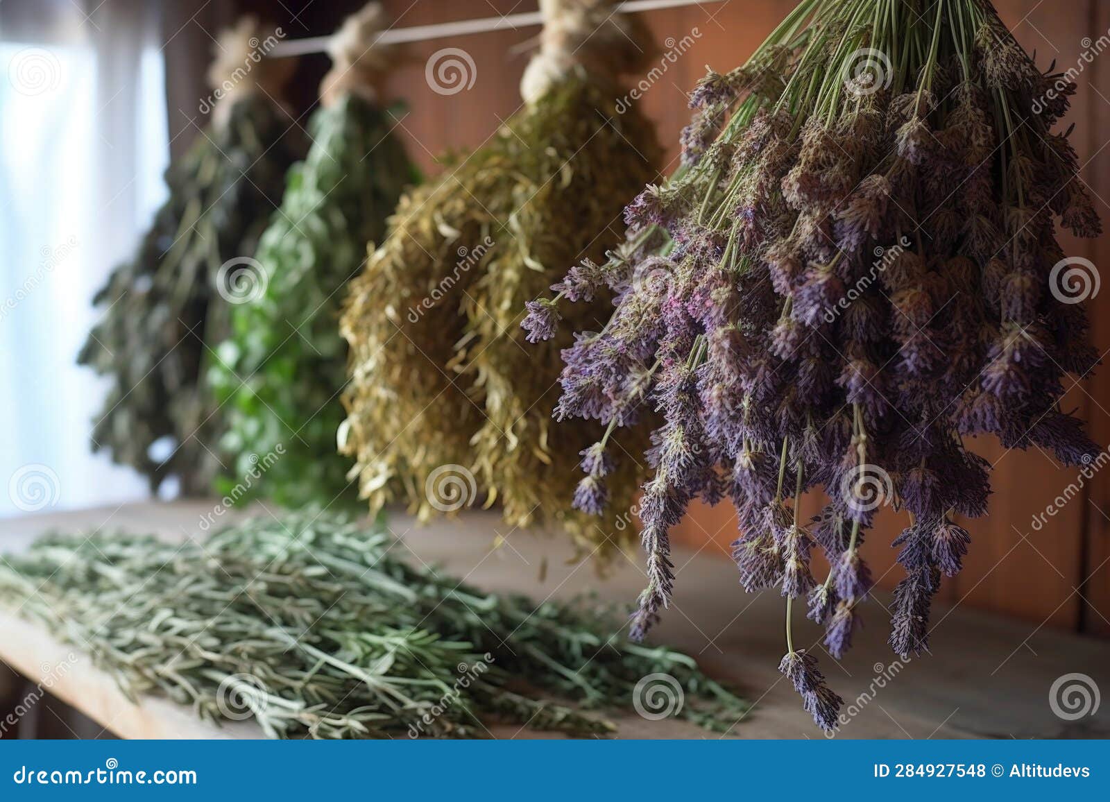 Closeup of Lavender, Rosemary, and Thyme Drying Stock Illustration