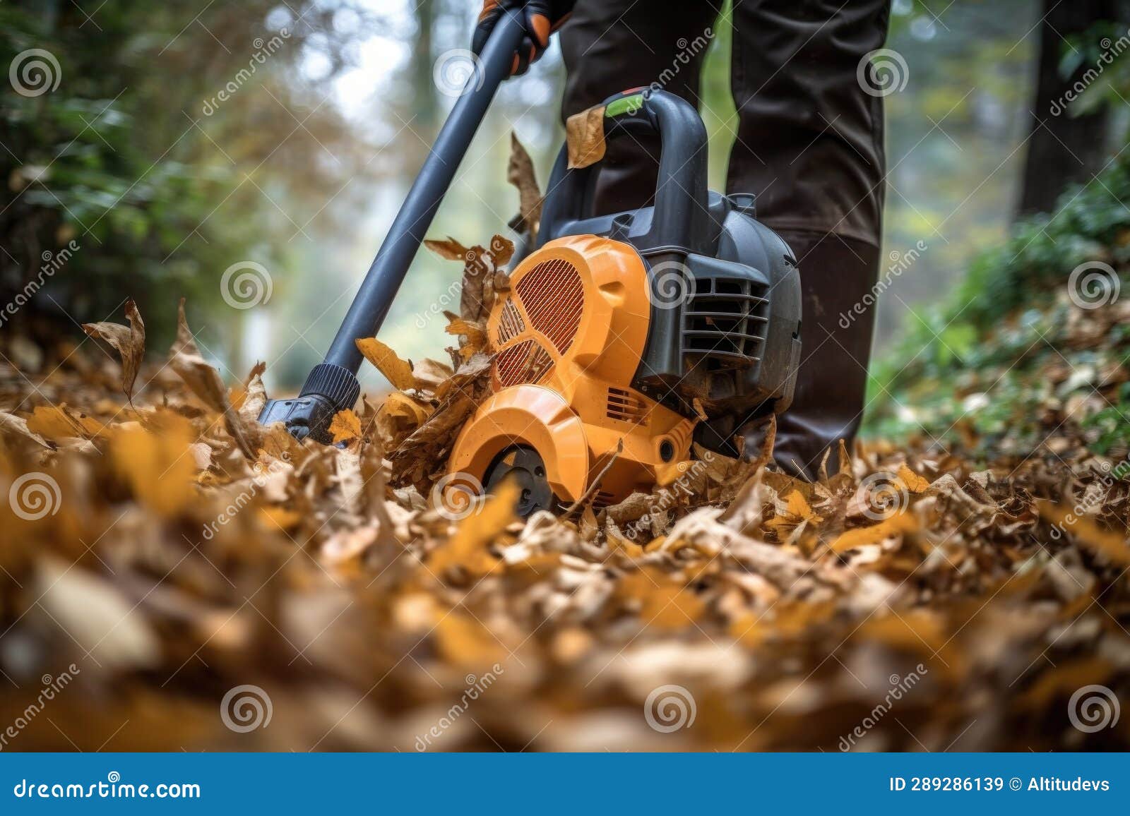 Closeup of a Leaf Blower in Action among Leaves Stock Image Image of