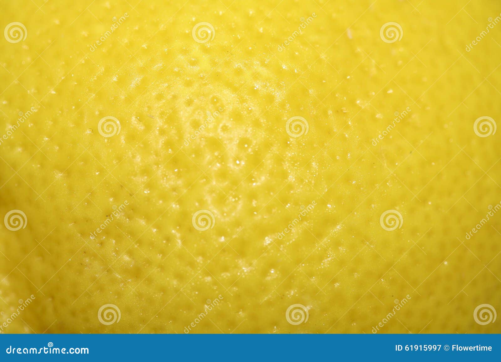 close up of lemon rind.
