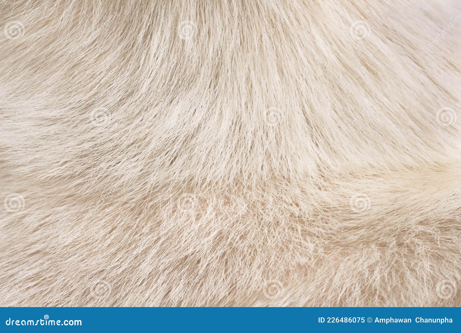 Brown Fur Animal Soft Texture of Dog Line Background Stock Image - Image of fluffy, copy: 226486075