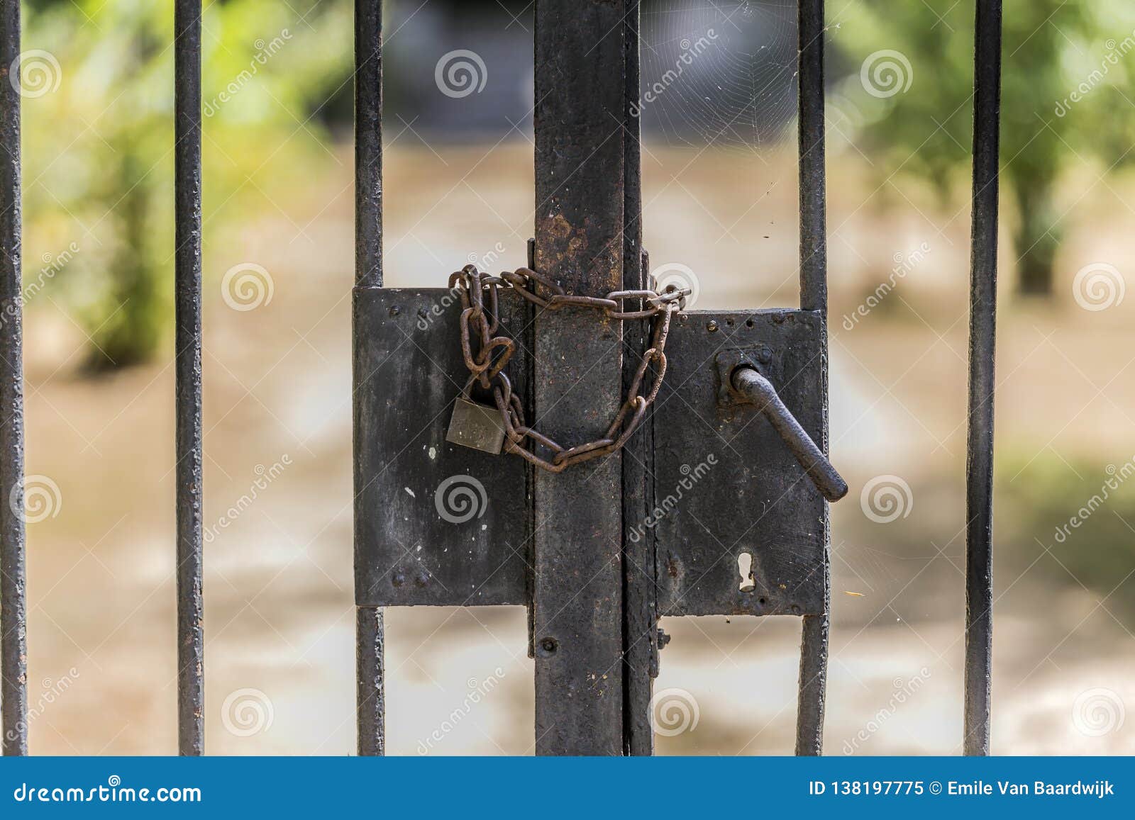 Close Up of a Lock with a Chain of a Metal Gate Stock Image - Image of ...