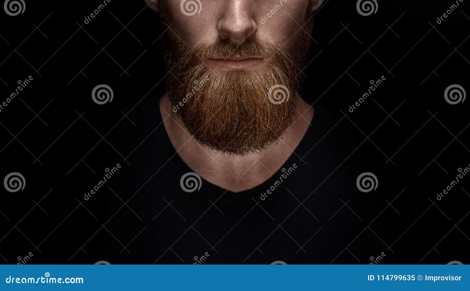 close up of long beard and mustache of bearded man