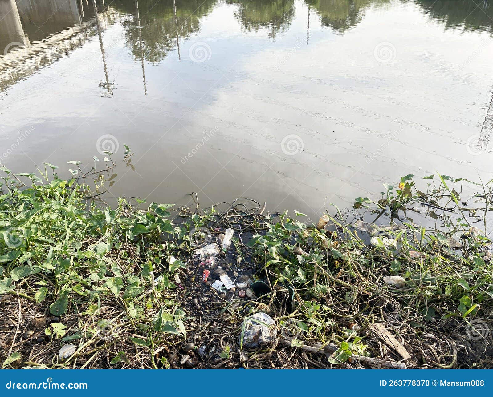 Lot of Different Types of Waste in the Ground Stock Photo Image of