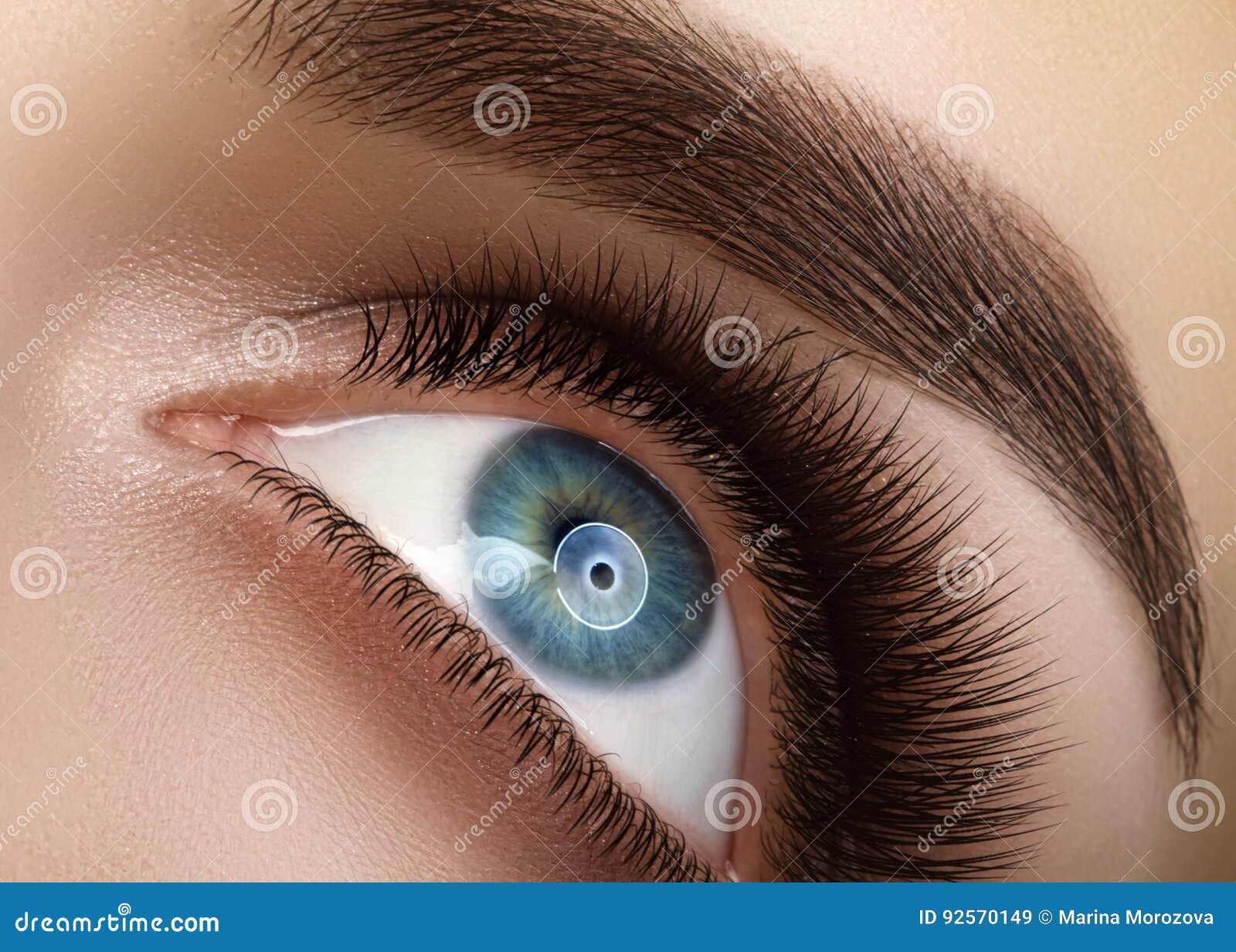 close-up macro beautiful female eye with extreme long eyelashes. lash , natural health lashes. clean vision