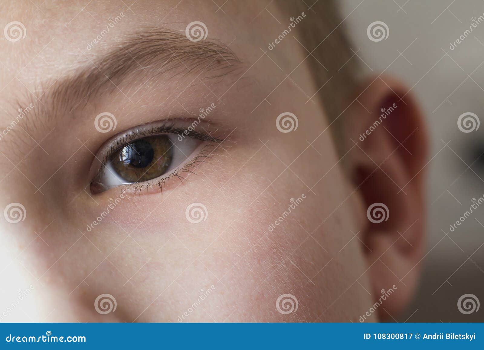 Close Up Macro Of Child Boy Eye Stock Image Image Of Clean Closeup