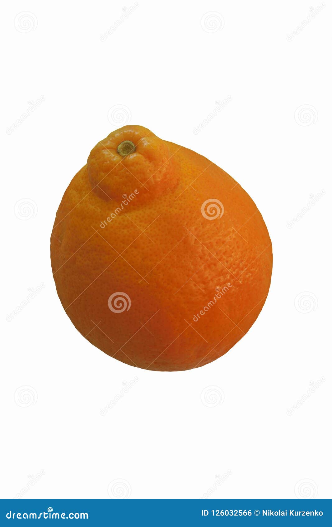 close-up mage of minneola fruit.