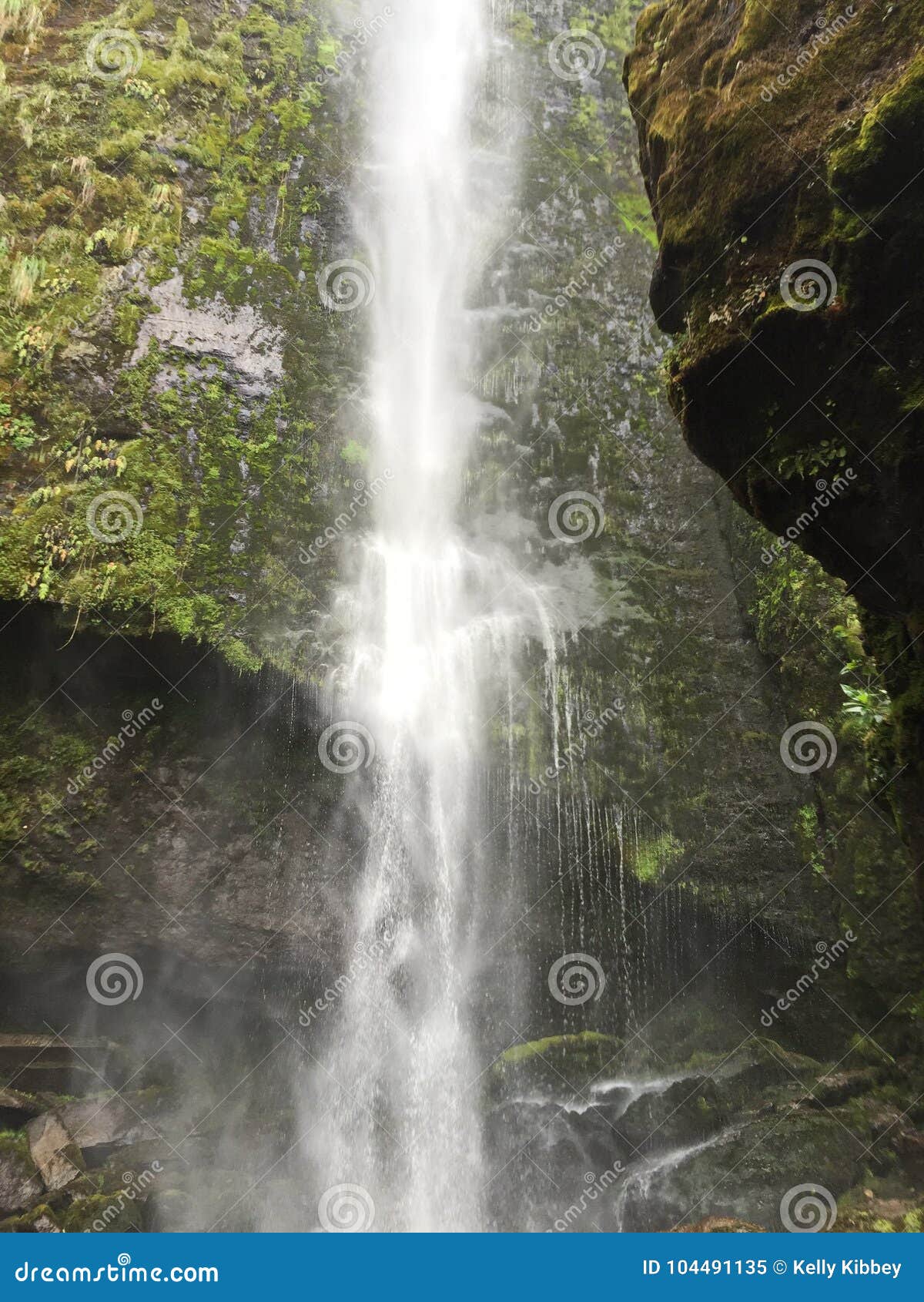 El Chorro Waterfall Up Close Ecuador Stock Image Image Of