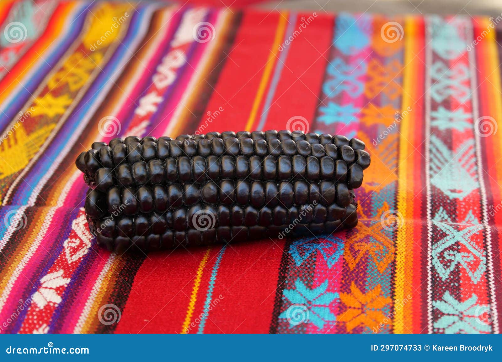 close up of maiz morado, purple corn, zea mays indurata, k'culli or black aztec corn on a traditional colourful red peruvian