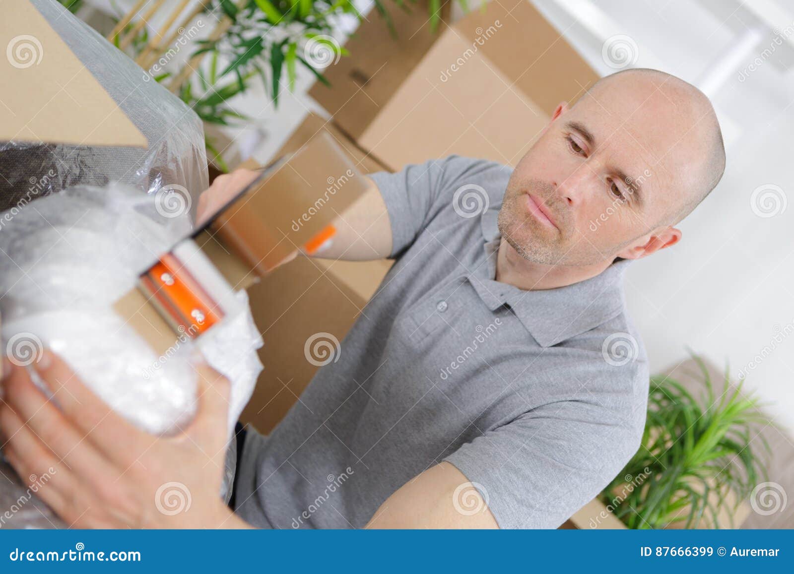Close Up Male Hand Packing Cardboard Box Stock Image Image of