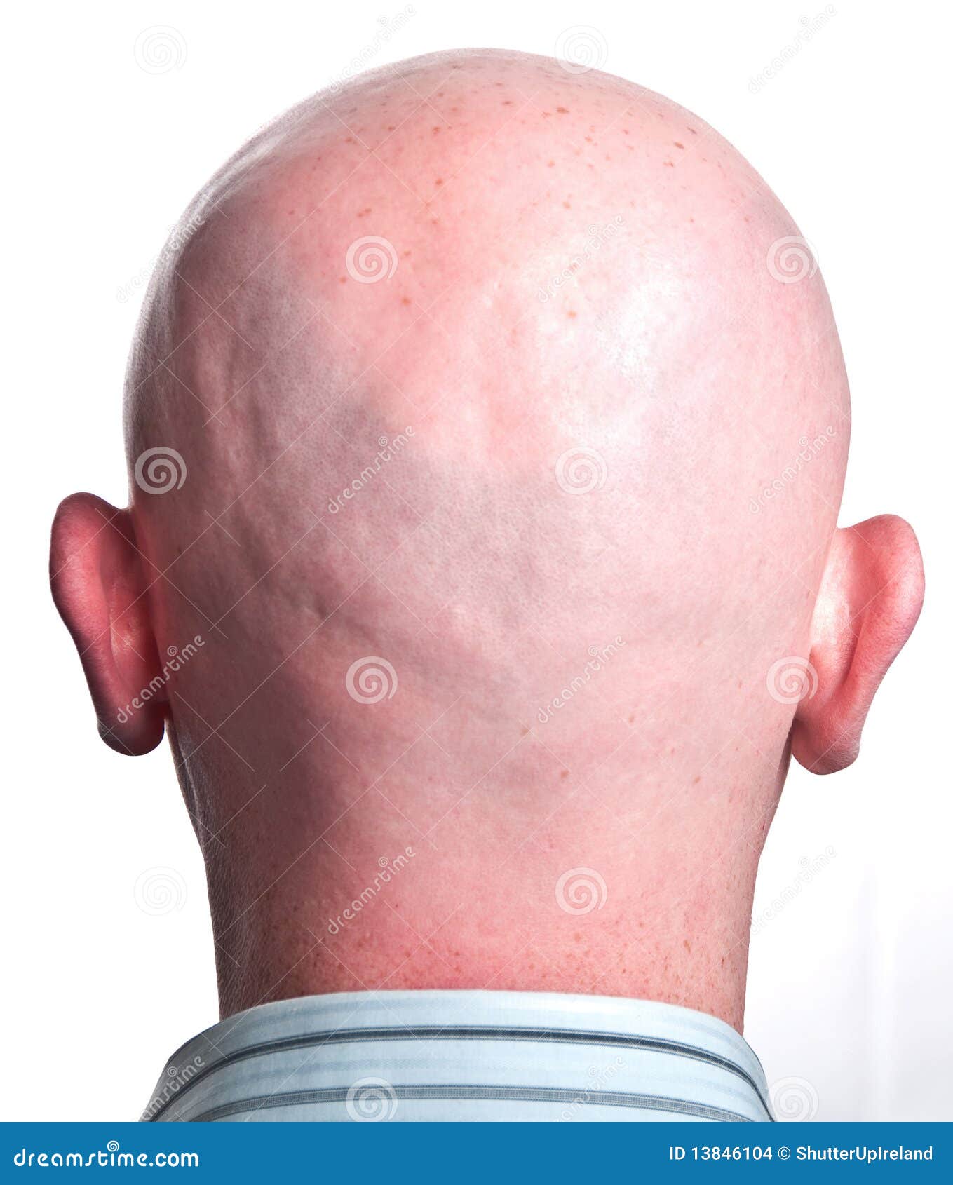 Bald gepussie pics