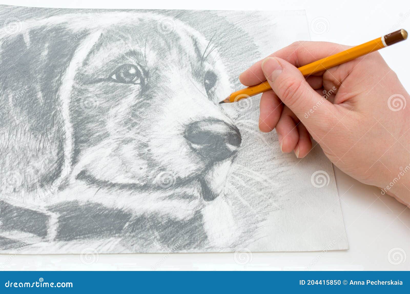 Close-up of a Man`s Hand Draws a Drawing with a Simple Pencil ...