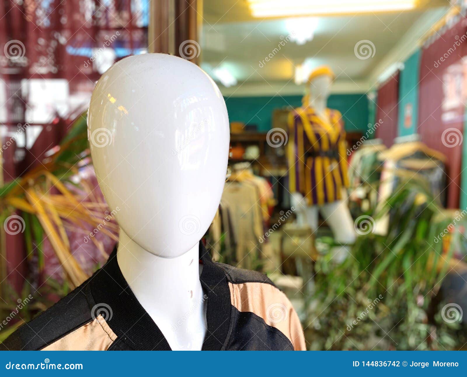 Closeup of a mannequin stock photo. Image of clothing 144836742