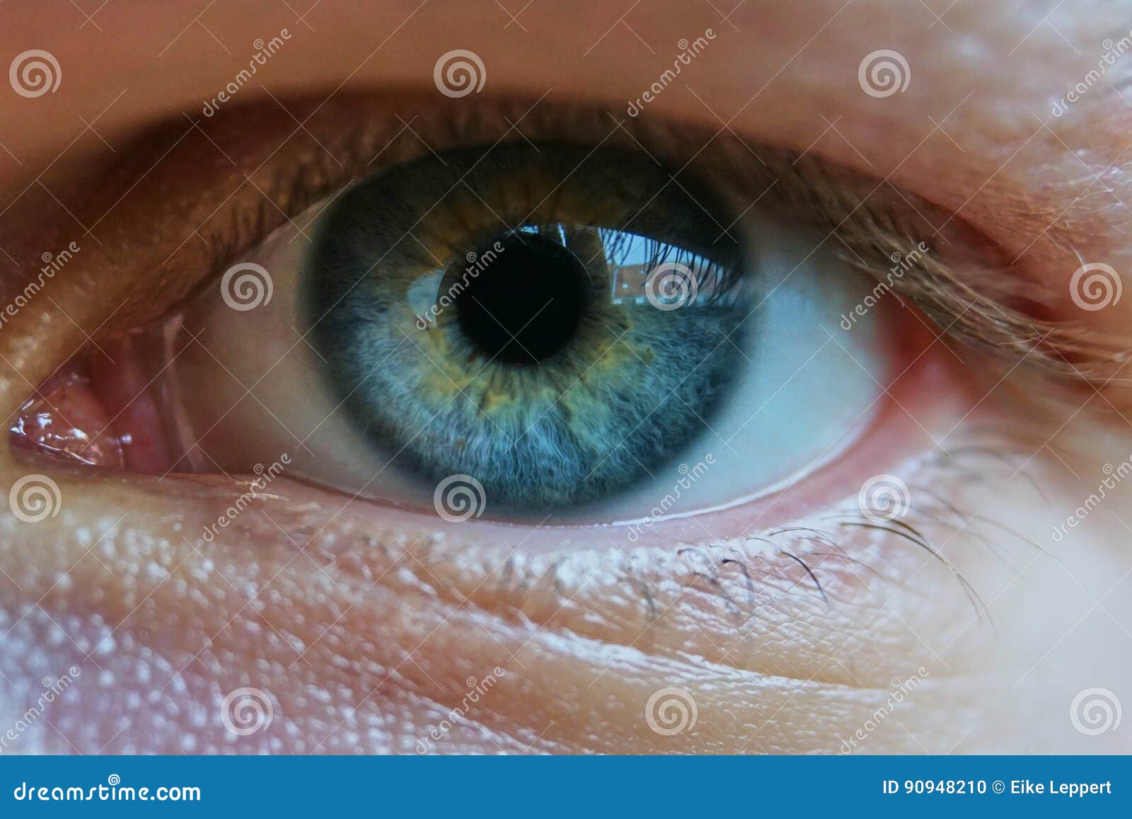 close up of a mans blue eyes, extrem macro. reflection of a buildingin the eye.