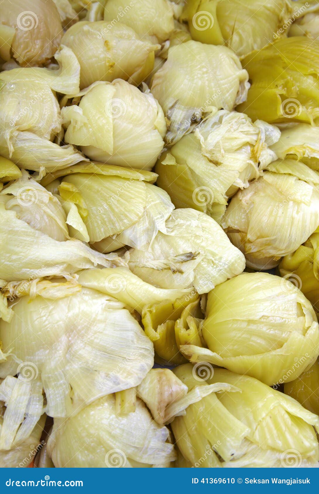 Close Up Many Chinese Sour Cabbage Stock Photo - Image of traditional ...